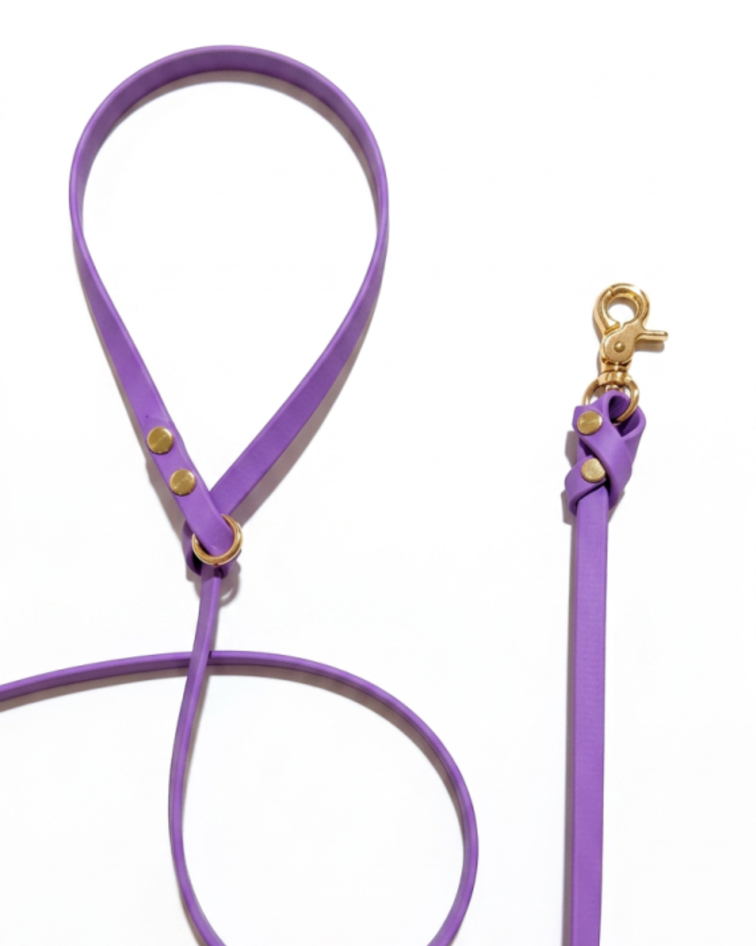 Biothane Leash_15