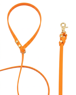 Biothane Leash