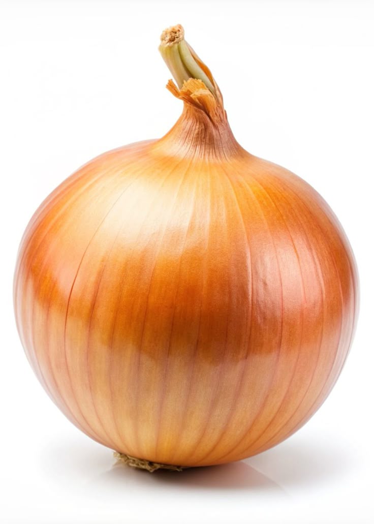 بصل اصفر_0