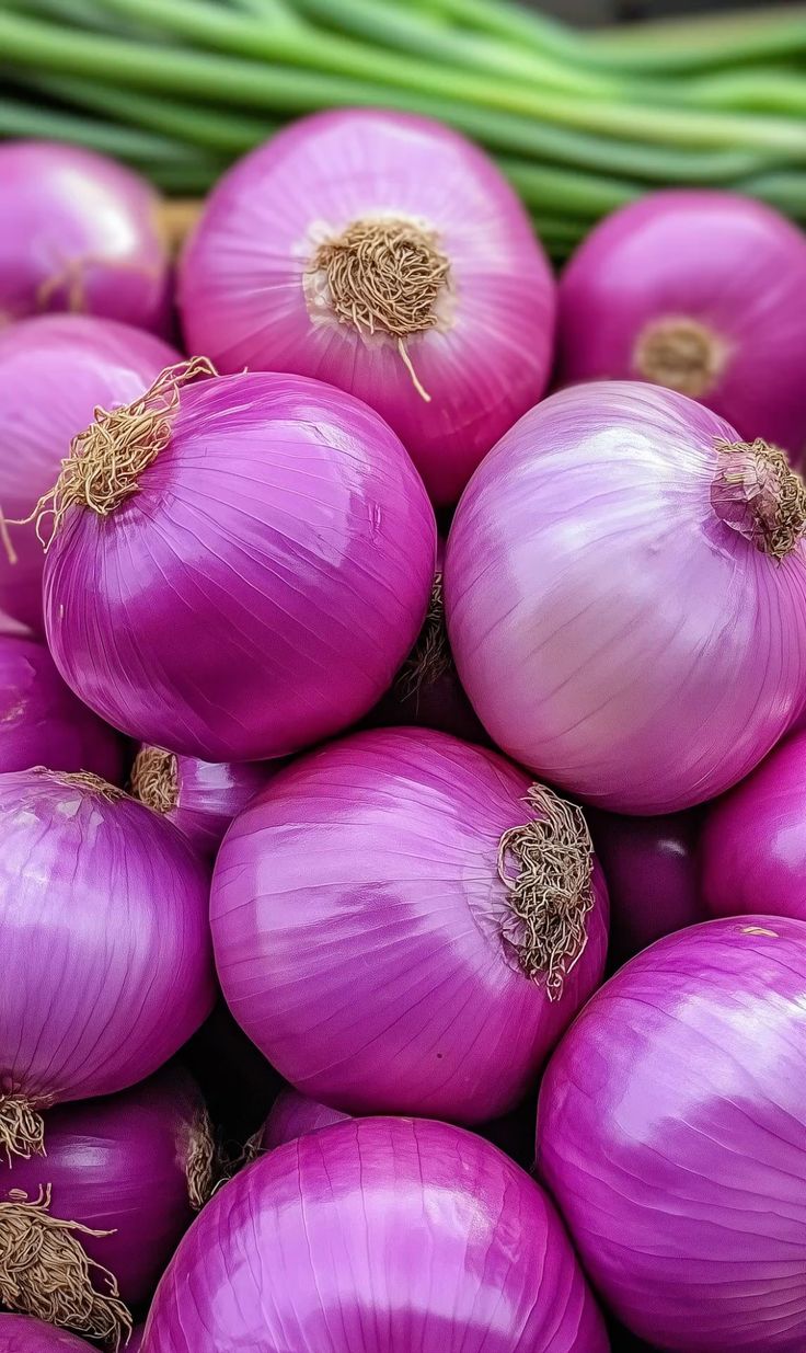 بصل حار_0