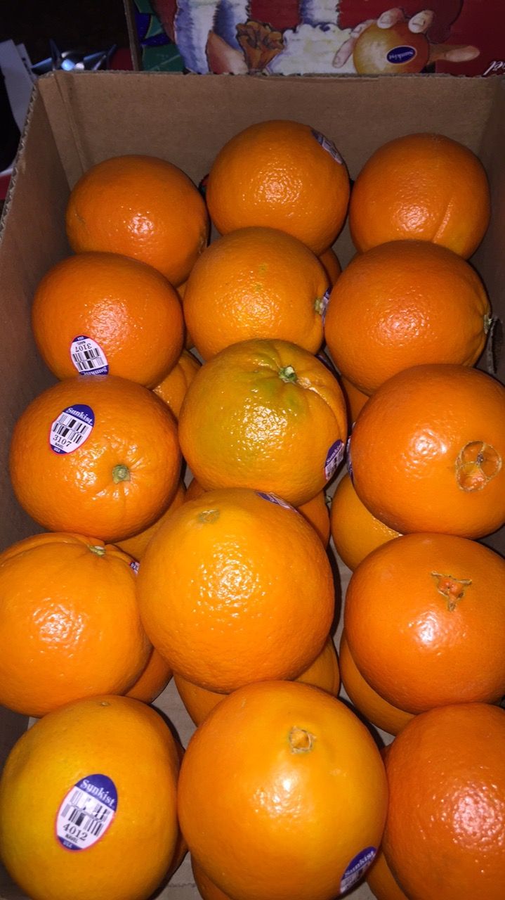 برتقال _0