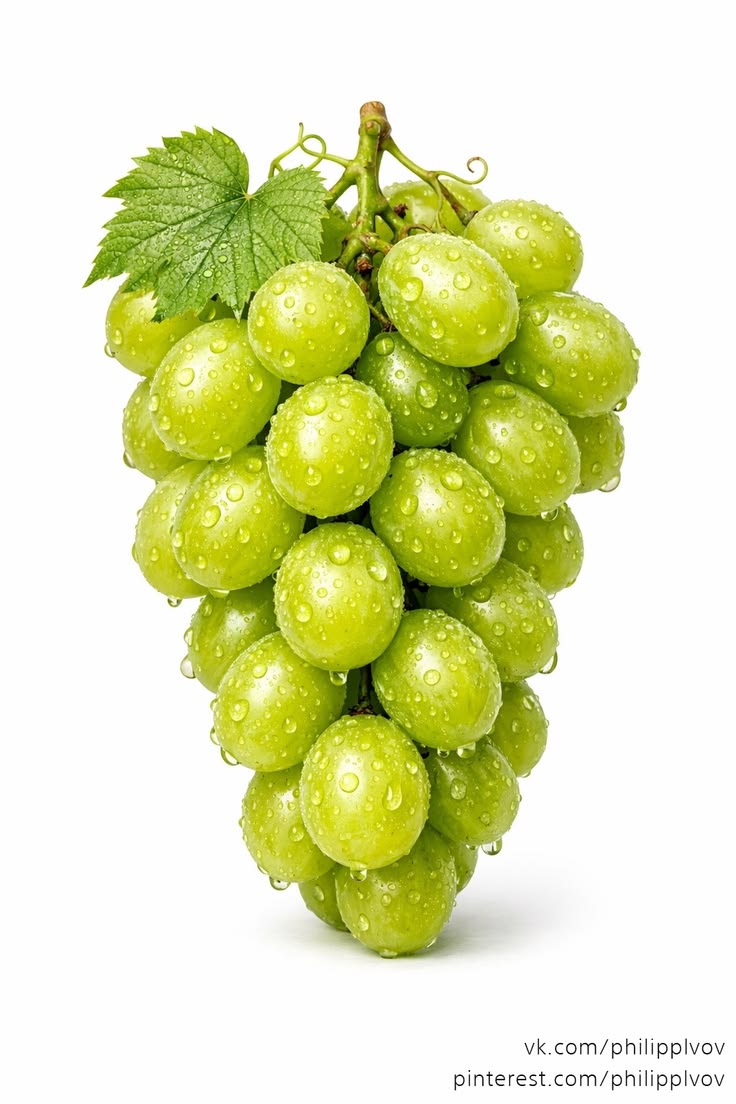 عنب اخضر