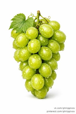 عنب اخضر