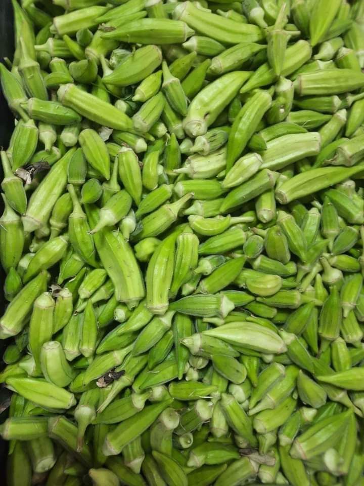 باميه