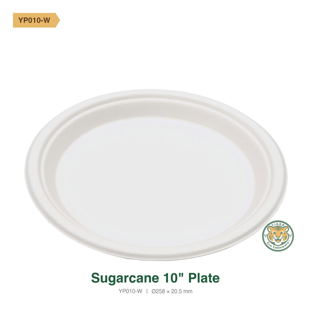 Bagasse 10" Plate / White (RM0.3386/pc)