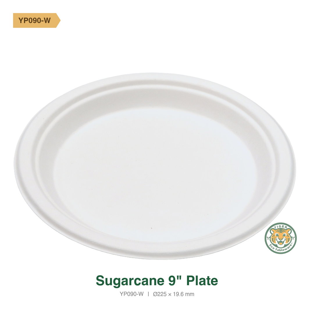 Bagasse 9" Plate / White (RM0.2528/pc)