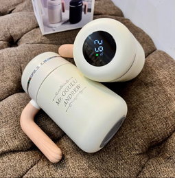 Thermo insulated cup with thermostat