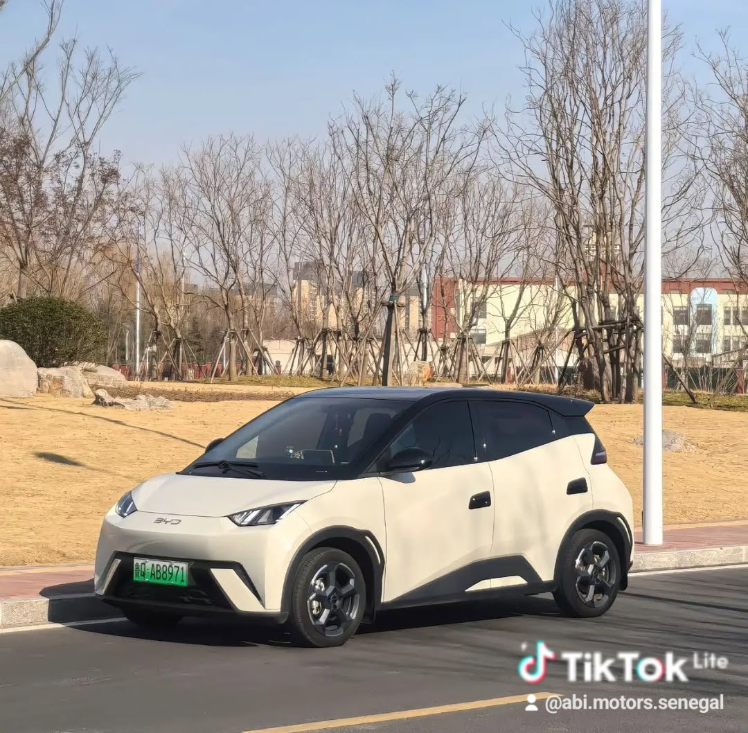 Voiture électrique BYD _1