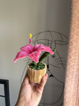 Hibiscus flower pot