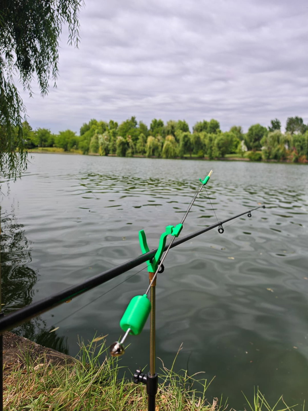 🎣 AVERTIZOR DE TRĂSĂTURI CARPBELL