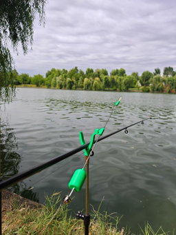 🎣 AVERTIZOR DE TRĂSĂTURI CARPBELL