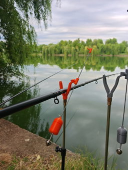 🎣 AVERTIZOR DE TRĂSĂTURI CARPBELL