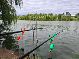 🎣 AVERTIZOR DE TRĂSĂTURI CARPBELL