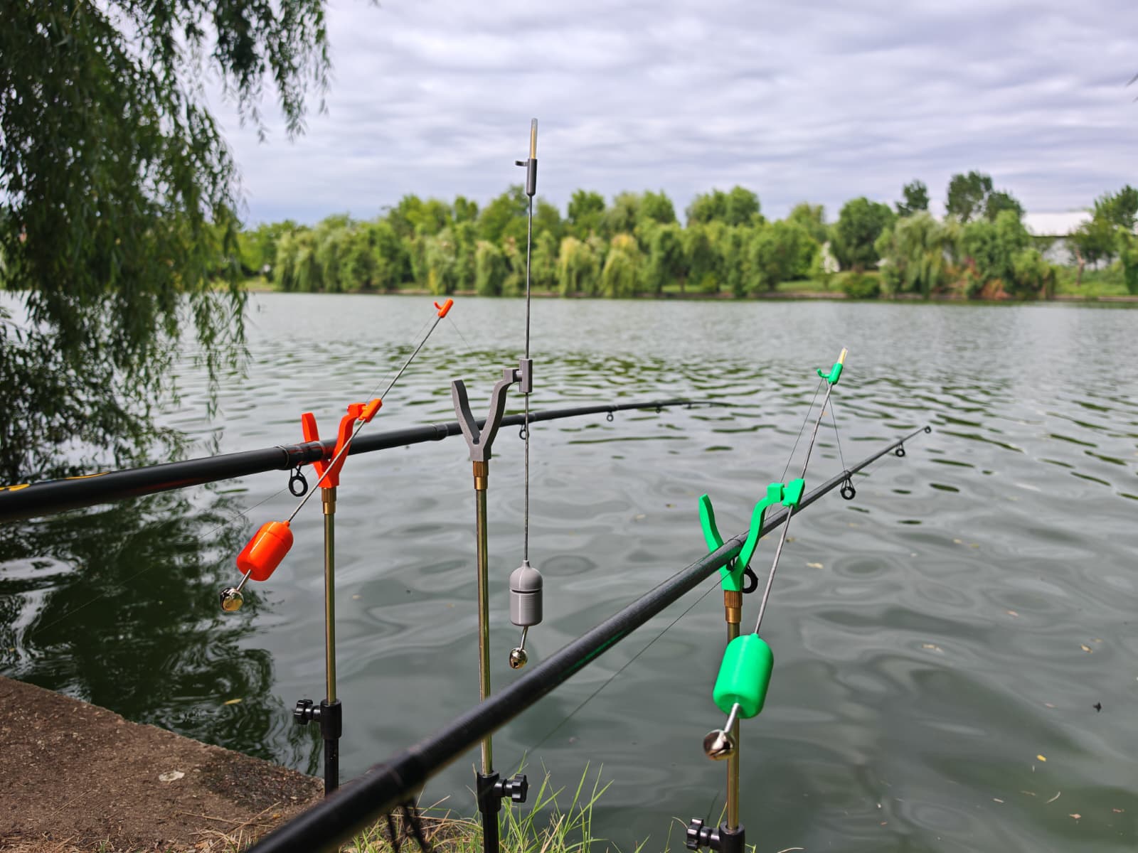 🎣 AVERTIZOR DE TRĂSĂTURI CARPBELL_2