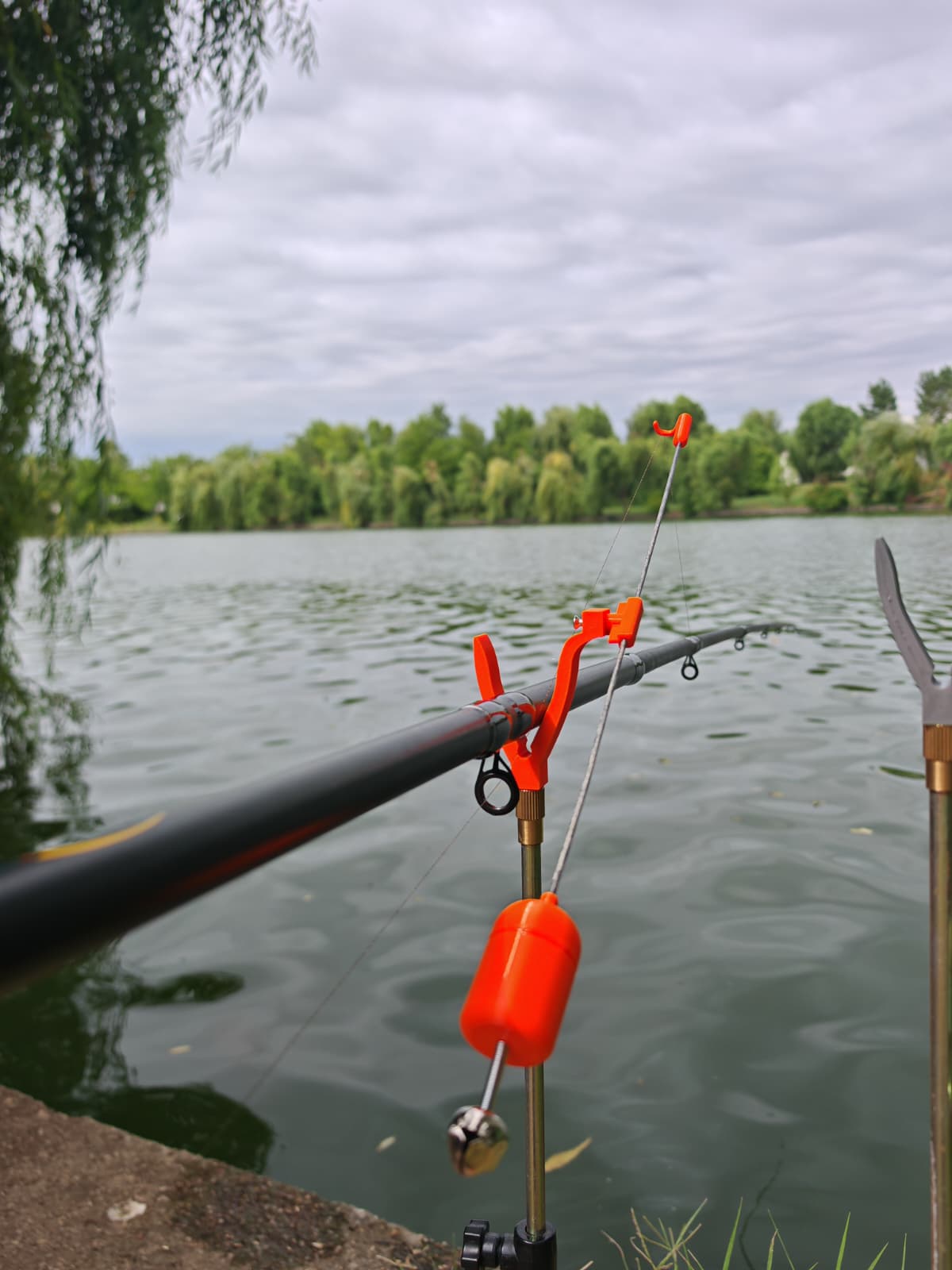 🎣 AVERTIZOR DE TRĂSĂTURI CARPBELL_3