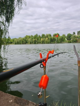 🎣 AVERTIZOR DE TRĂSĂTURI CARPBELL