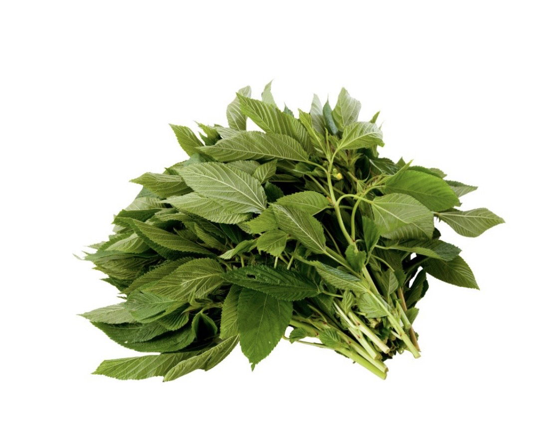 Ayoyo leaf (jute leaf)_0