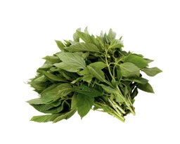 Ayoyo leaf (jute leaf)
