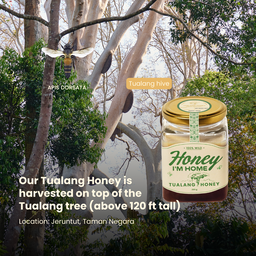 Fresh Harvest Tualang Honey (385g)