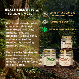 Fresh Harvest Tualang Honey (385g)