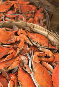 Crab 