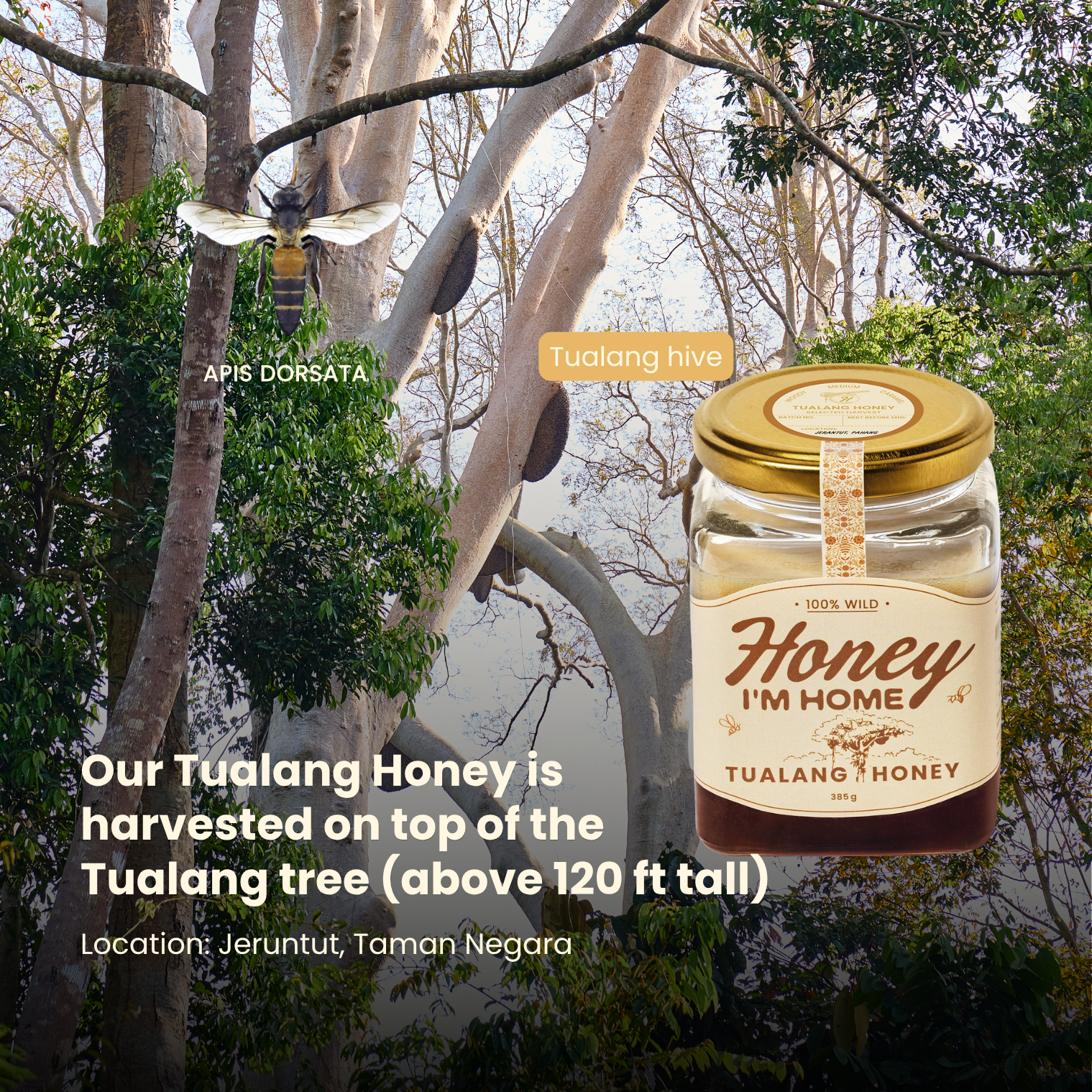 Selected Harvest Tualang Honey (160g)_2