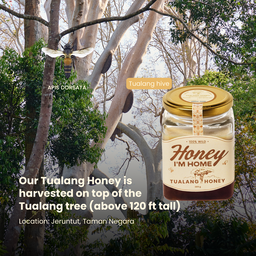 Selected Harvest Tualang Honey (385g)