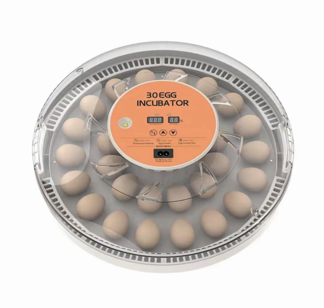 Couveuse automatique 30 oeufs