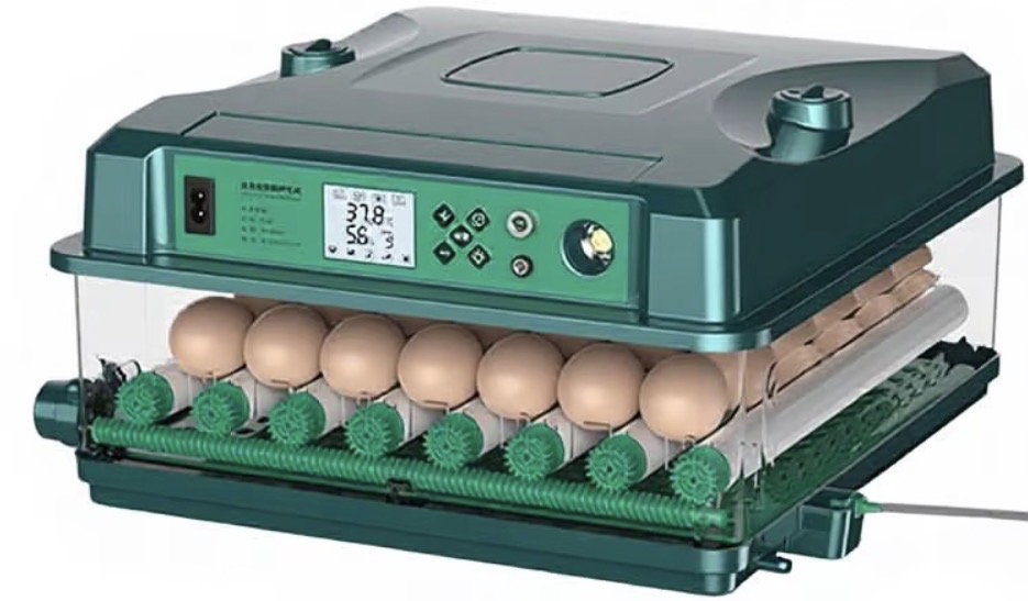 Couveuse automatique 24 oeufs_0