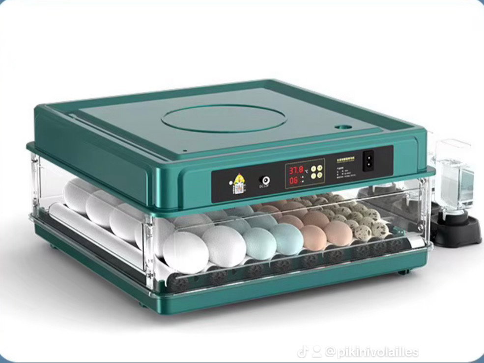 Couveuse automatique 50 oeufs