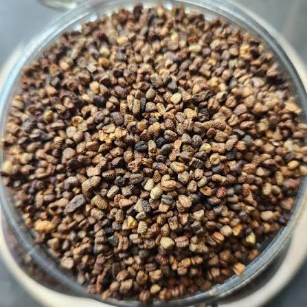 Cardamomo
