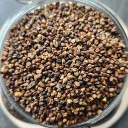Cardamomo