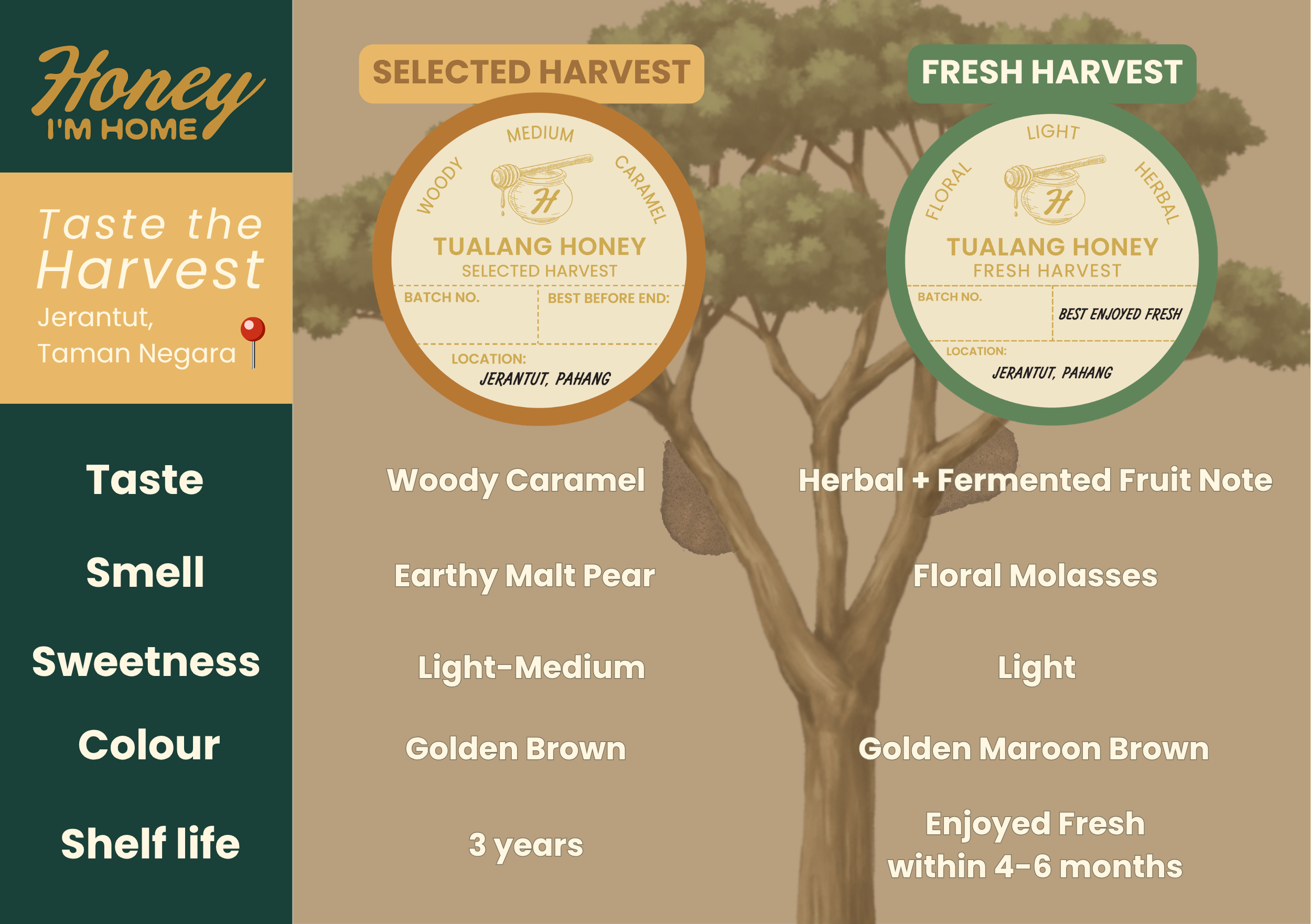 Selected Harvest Tualang Honey (385g)_1