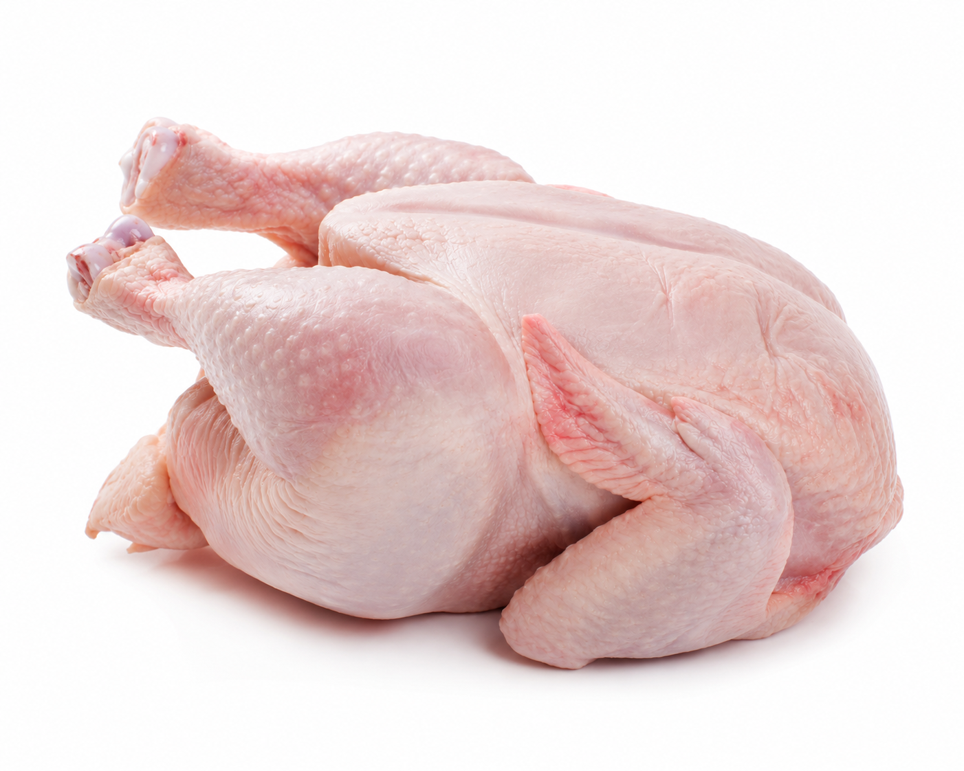Ayam Karkas Sedang _0