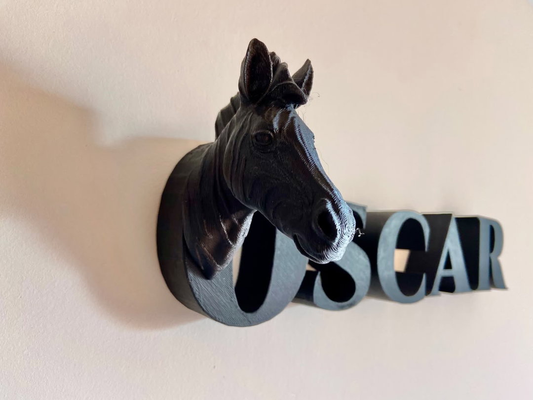 Animal Alphabet Zebra Bust