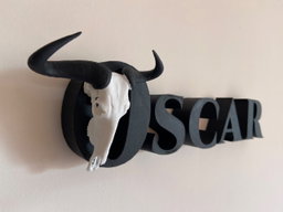 Animal Alphabet Black Wildebeest Skull  