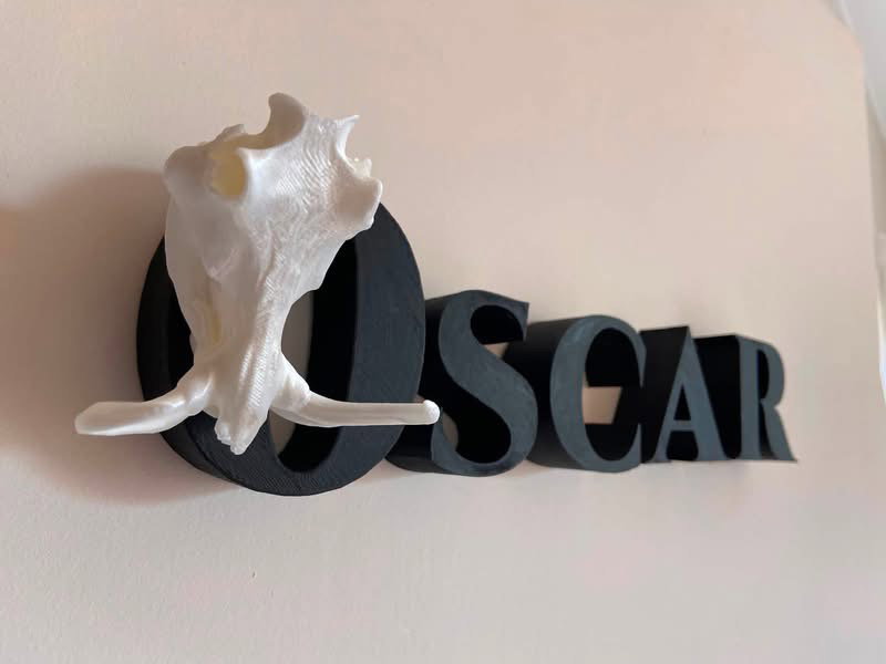 Animal Alphabet Warthog Skull