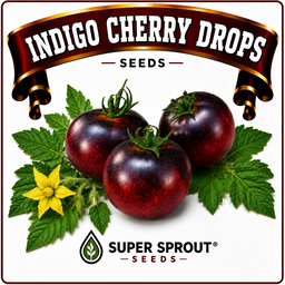 Cherry tomato combo x 6 packs 10 seeds per pack