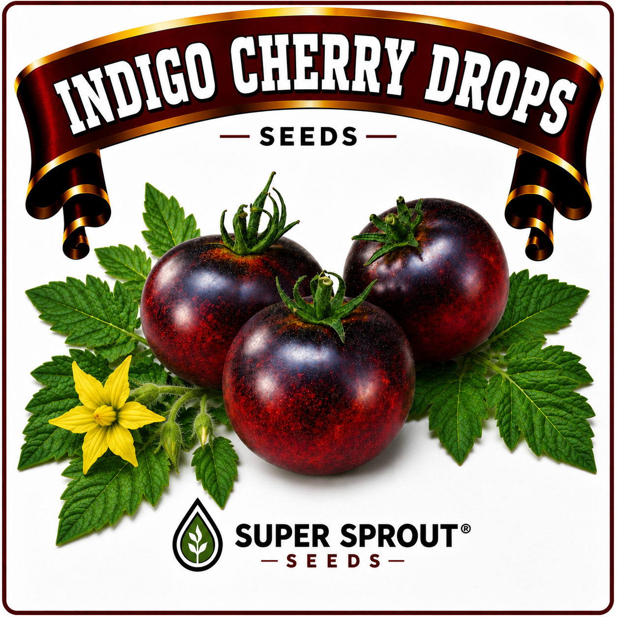 Cherry tomato combo x 6 packs 10 seeds per pack_4