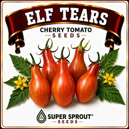 Cherry tomato combo x 6 packs 10 seeds per pack