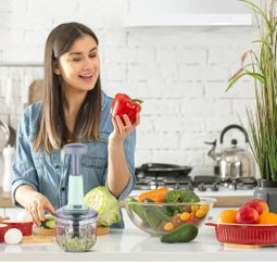 Hand Press Vegetable Chopper