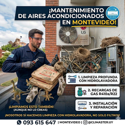 Servicios