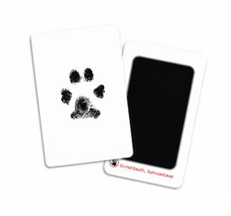 Paw Print Kit