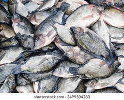 Dry fish , salt fish and Tilapia