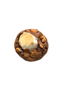 campfire s’mores