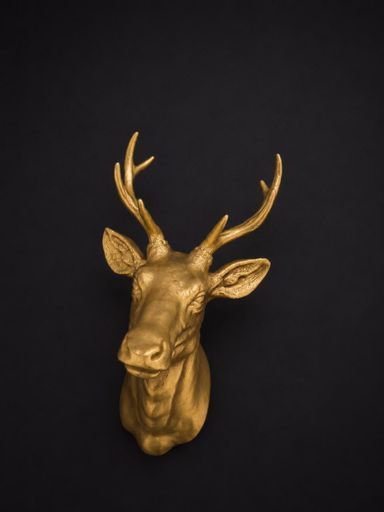 Animal numbers with Elk Bust   _1