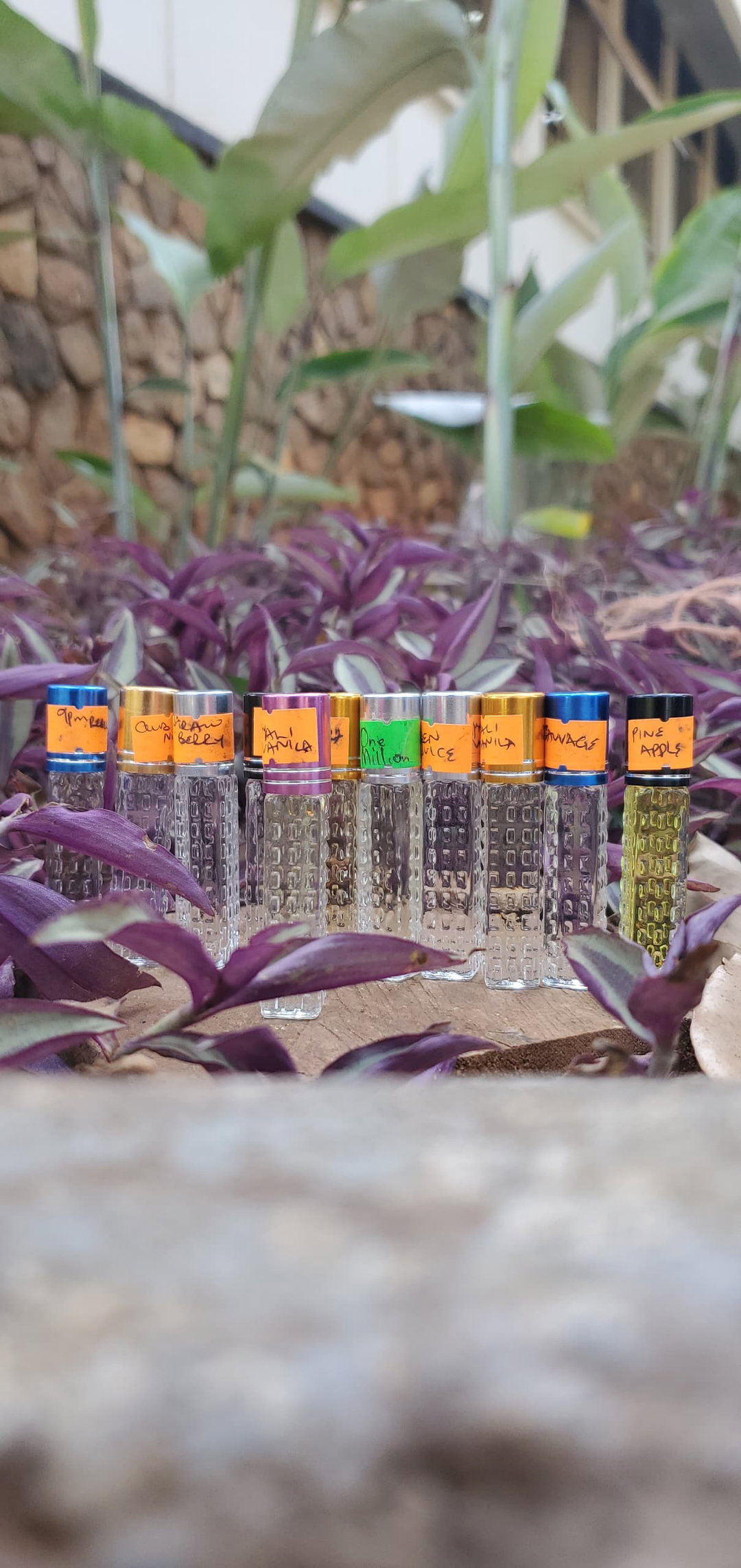 3mls oil perfumes