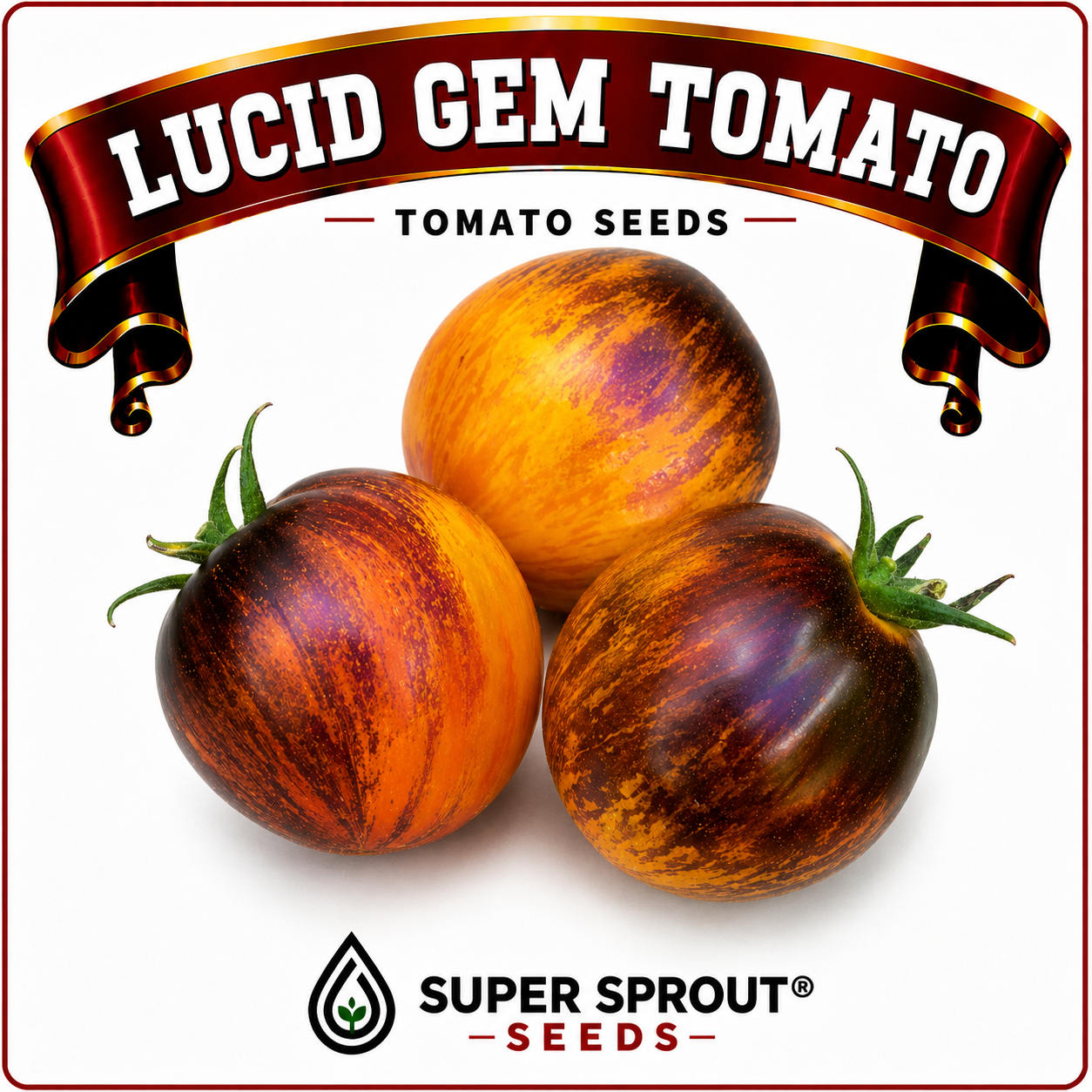 Black tomato combo collection x 6 packs_2