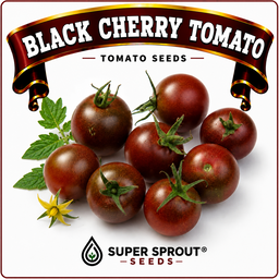 Black tomato combo collection x 6 packs