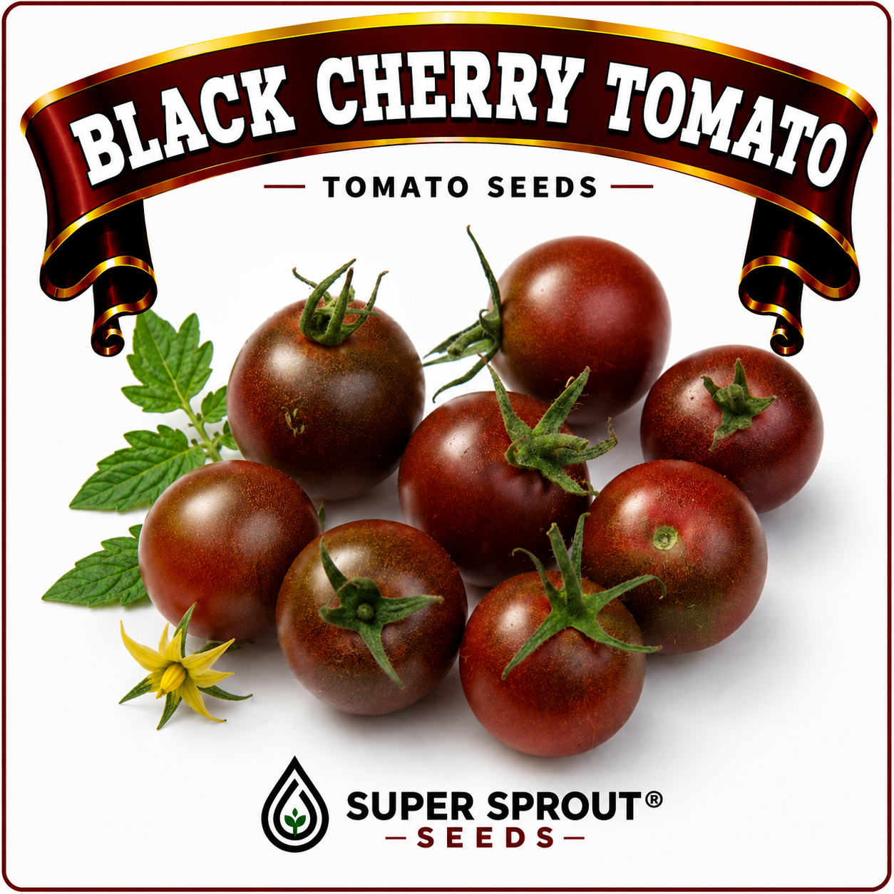Black tomato combo collection x 6 packs_4